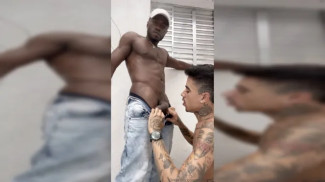 Plinio271   Plinio Brother channel