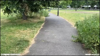 VID 20241027 190757 042 video