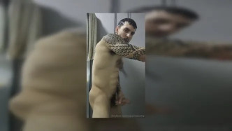 Nogueira Videos.78 video