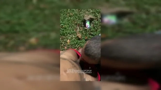 Novaex Onnowplay 81 video