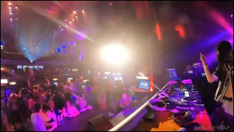 Palacewolf (106) video