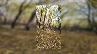 1404df76 Bea6 4b6c 9176 Ccc2d4fc8ff9 video