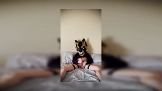 Palacewolf (67) video