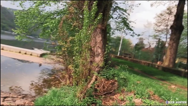 Czech Hunter   649 video