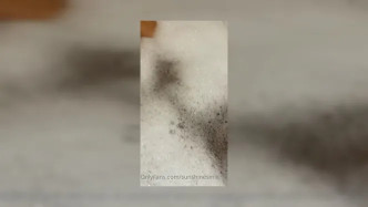 6aaa0107 Abc5 47bb A558 164df92faaf8 video