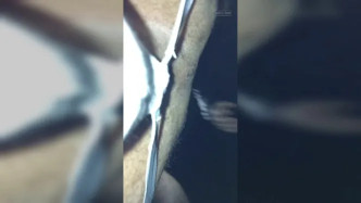 Part 2 Of 2 Taking Two Cocks And Two Loads Outdoors video