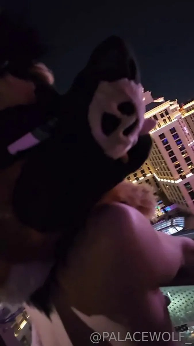Palacewolf (74) video