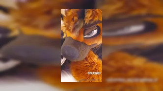 Palacewolf (84) video