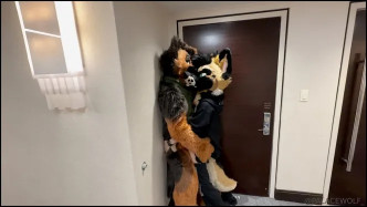 Palacewolf (53) video