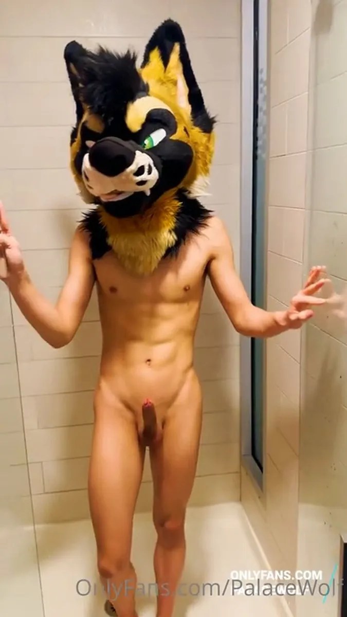 Palacewolf (37) video