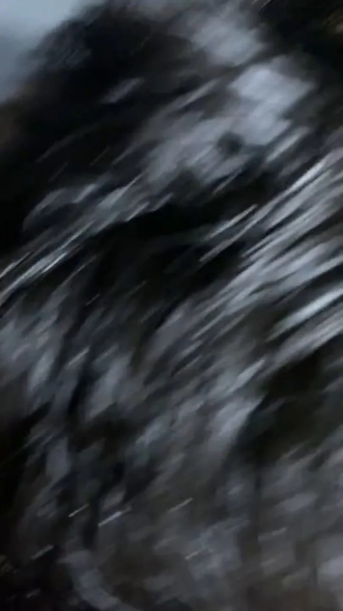 52f5a121 635e 45f5 B5bf Ea1147a69135 video