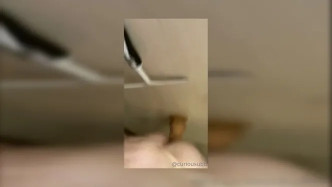 Subdexxx 613709770 1 0hefj51h0pgmtepqcxz58 Source video