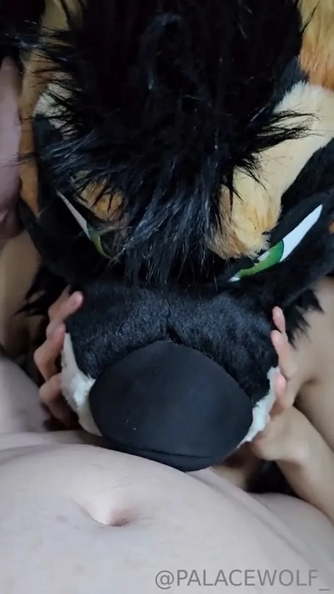 Palacewolf (108) video