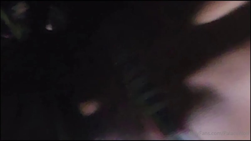 Palacewolf (2) video