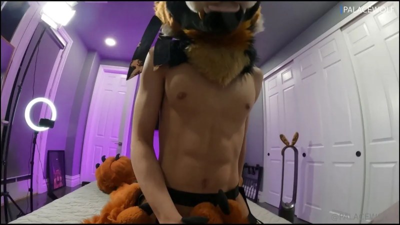 Palacewolf (116) video