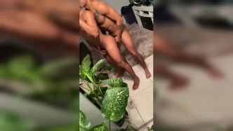 Cb8084be61b09693538cf9ed8b02f527 video