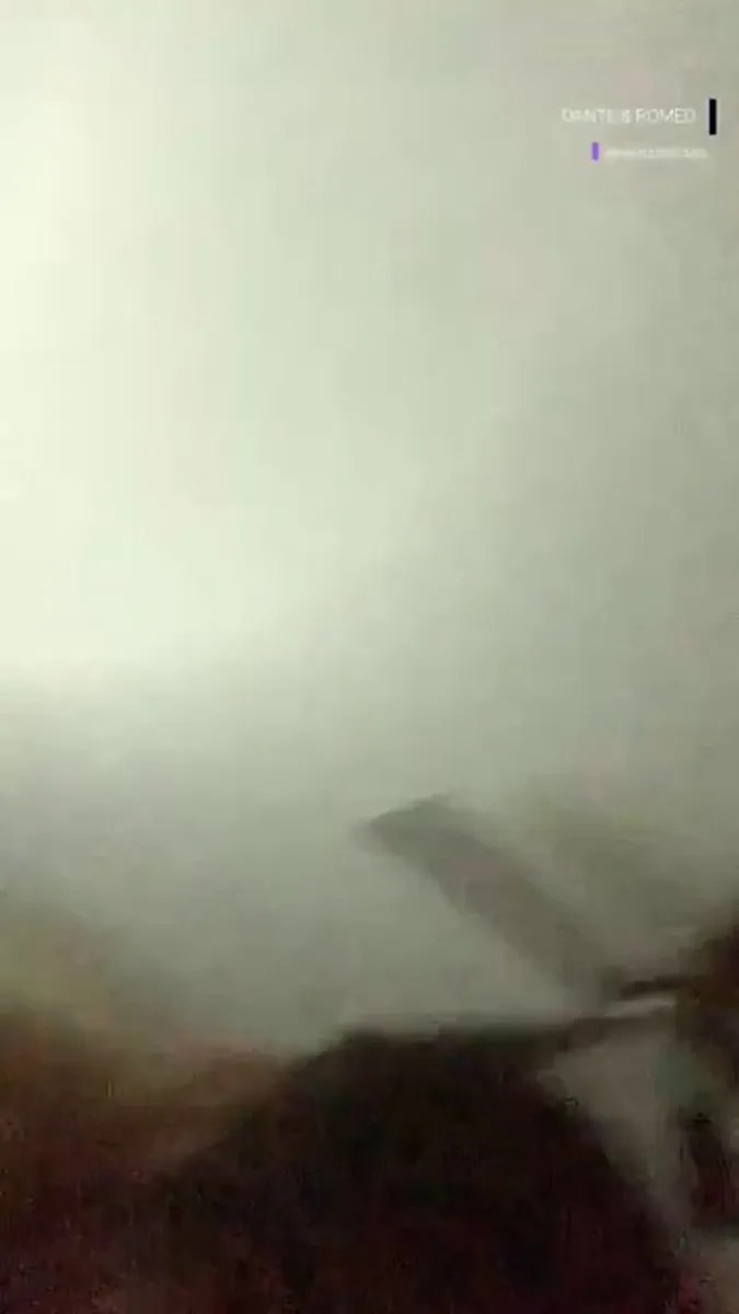 D (113) video