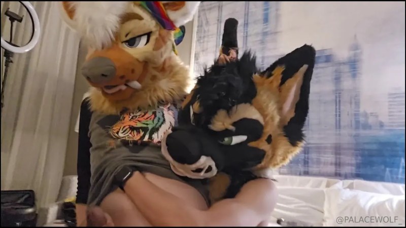 Palacewolf (85) video