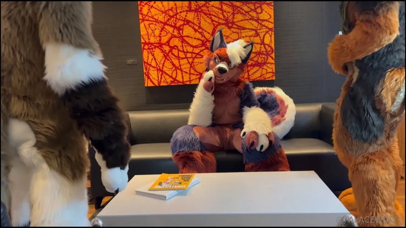 Palacewolf (128) video