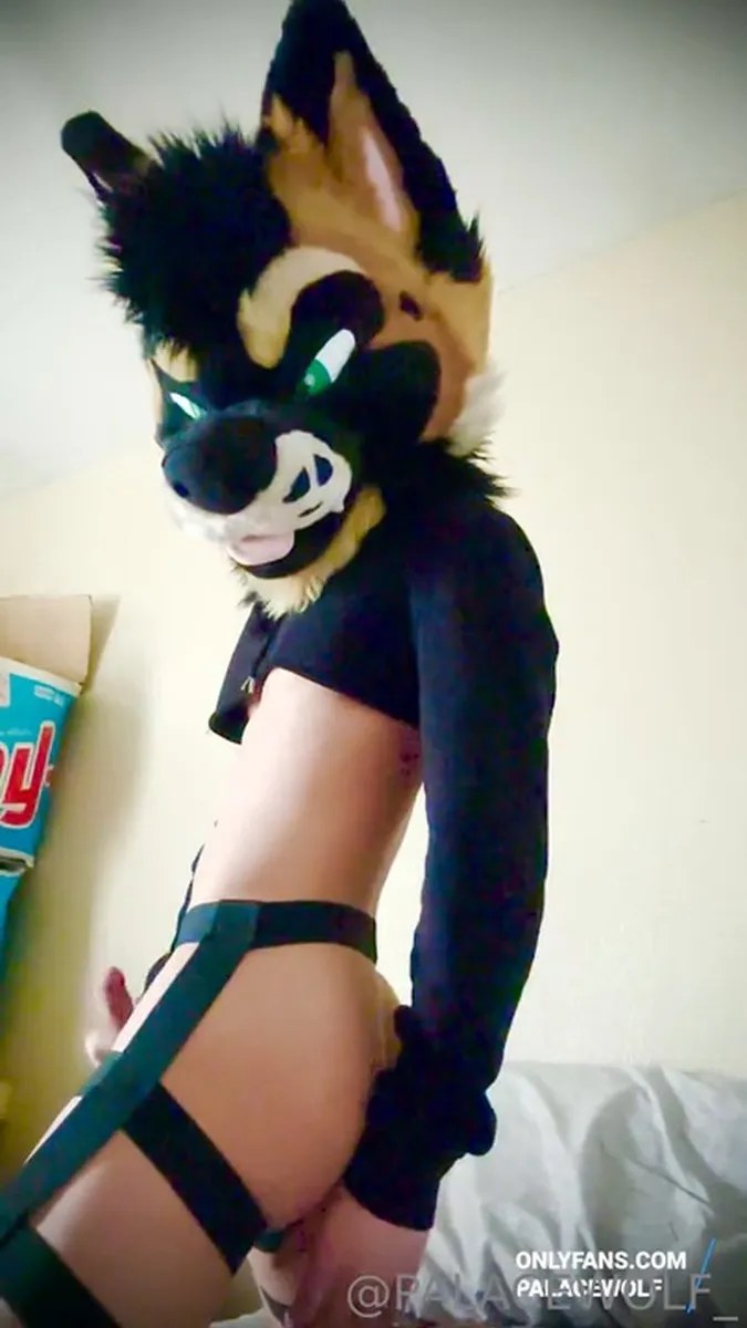 Palacewolf (66) video