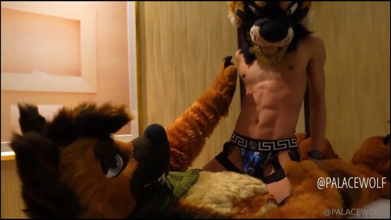 Palacewolf (46) video