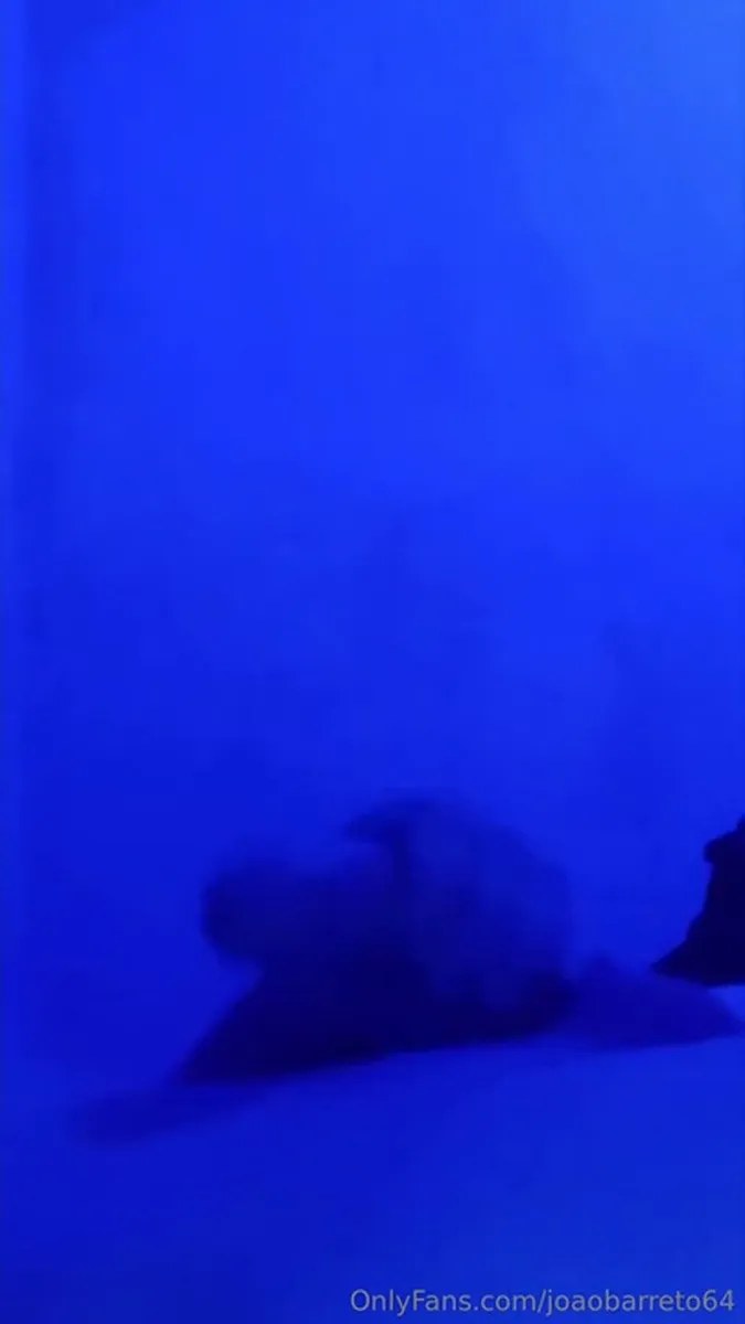0hke4eb01m1ojxgcfxxut Source video