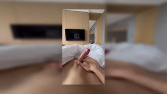 Palacewolf (154) video