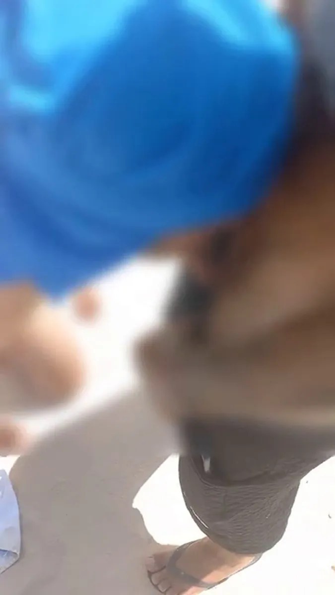 Casado Peludo Comeu O Lek Sem Capa Na Praia video