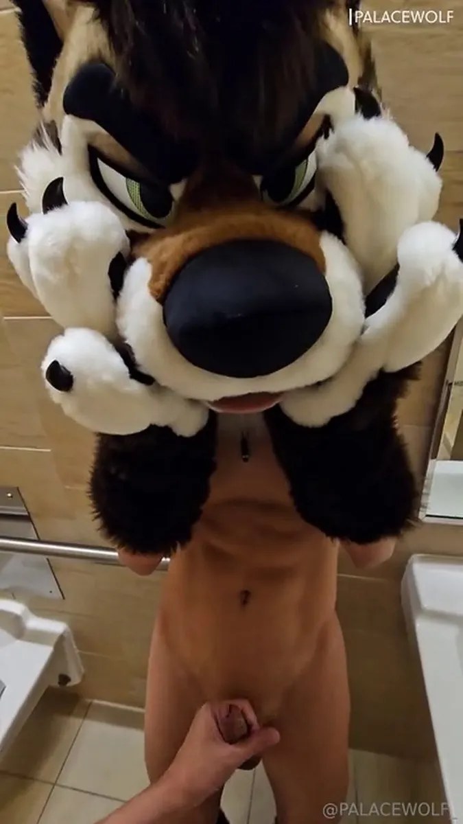 Palacewolf (126) video