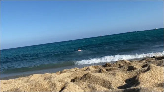 133. Aidan Ward video