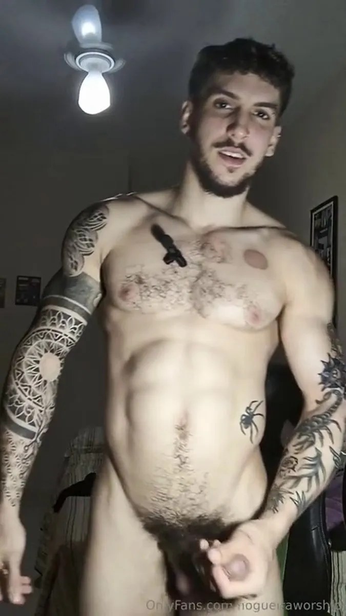 Nogueira Videos.76 video