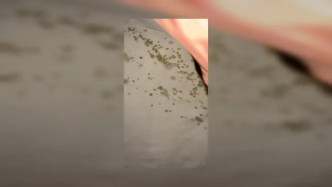 0h8uvp6y12qj2no460f5w Source video