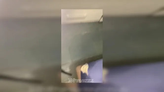 Novaex Onnowplay 70 video