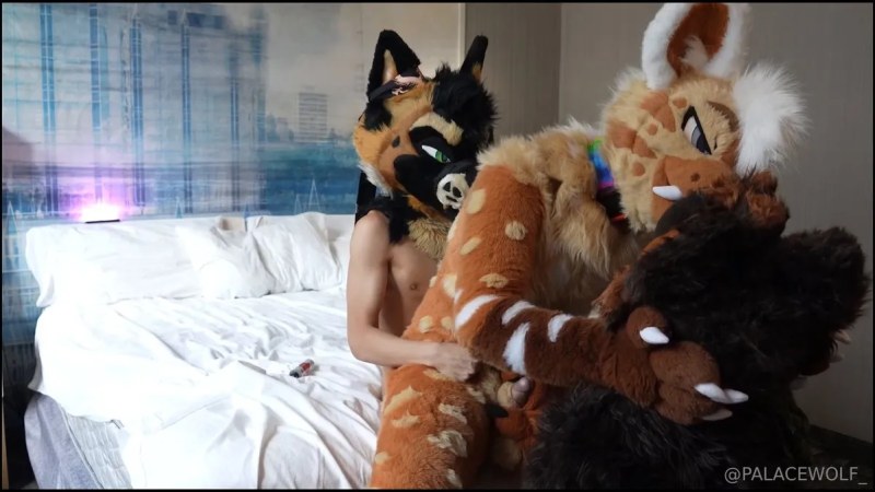 Palacewolf (103) video