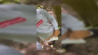 0hpwk1vc3pg18h3k6auk8 Source video