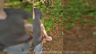 5eda950e9a8d04c23ed6c Source video