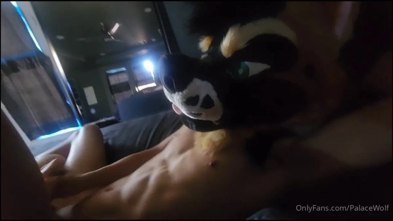 Palacewolf (1) video