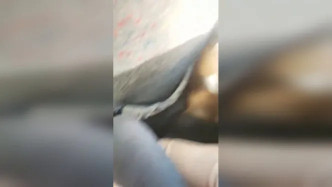 Exhibitionists   Banheiro Restroom Bathroom Public Wc Part 10 (51) video