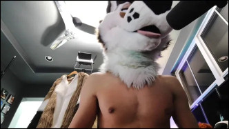 Palacewolf (28) video