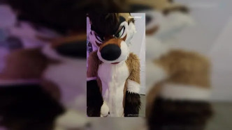 Palacewolf (158) video