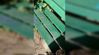 0hjnpg1arrcd90l9c91s7 Source video