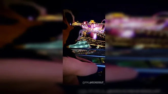 Palacewolf (73) video