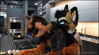 Palacewolf (56) video