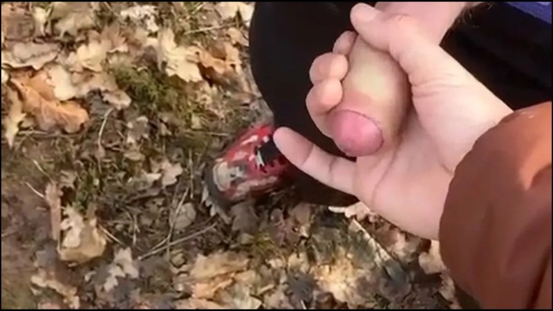0hn5542praqlvk585qu9r Source video