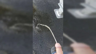 Exhibitionists   Banheiro Restroom Bathroom Public Wc Part 8 (17) video