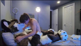 Palacewolf (164) video