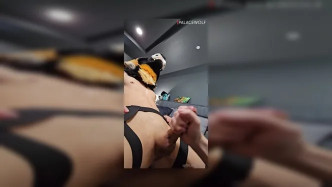 Palacewolf (29) video