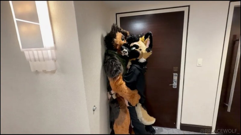 Palacewolf (53) video