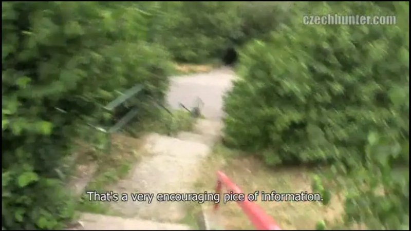 Czech Hunter   313 video