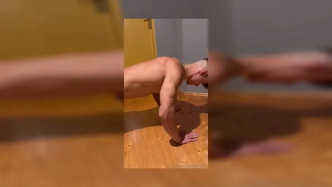 Dennisdillon.174 video